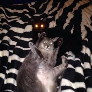 Meet your Posher, Barbara